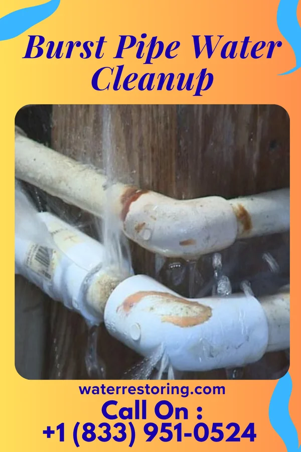 Burst Pipe Water Cleanup in Covedale, OH