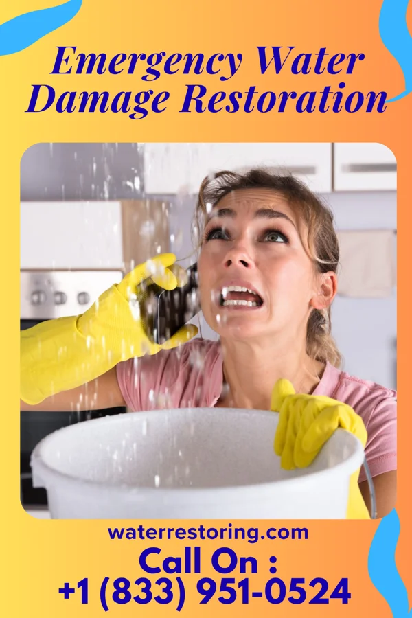 Emergency Water Damage Restoration in Covedale, OH