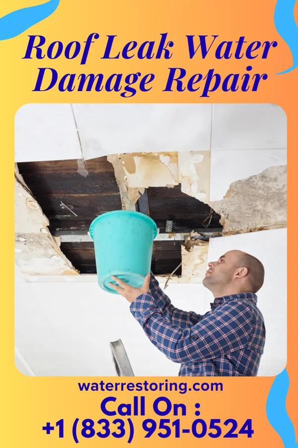 Roof Leak Water Damage Repair in Covedale, OH