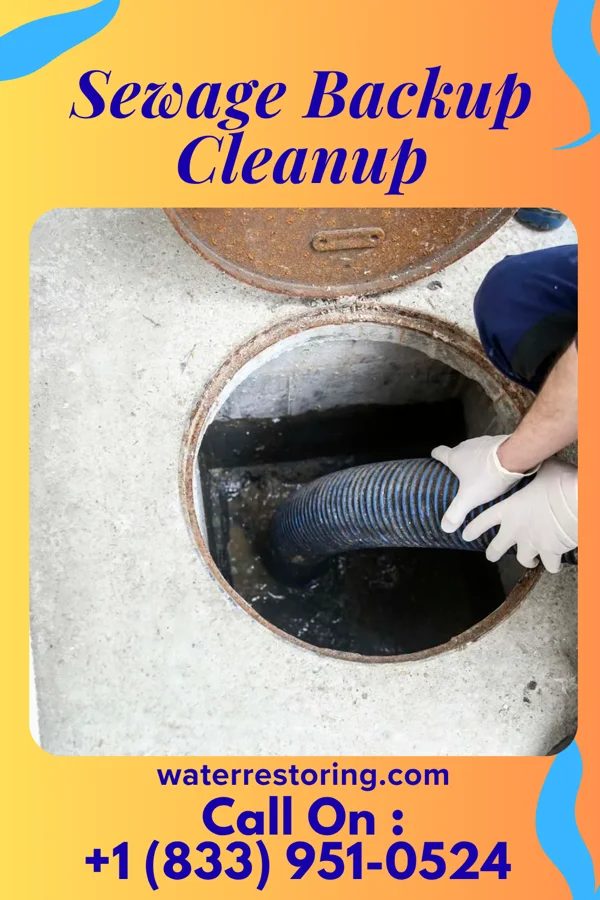 Sewage Backup Cleanup in Covedale, OH